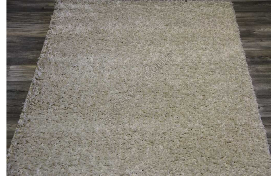 SH STAN 1 Шагги